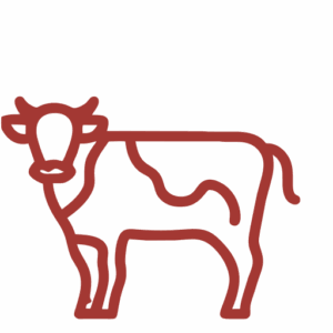 Nötlådan